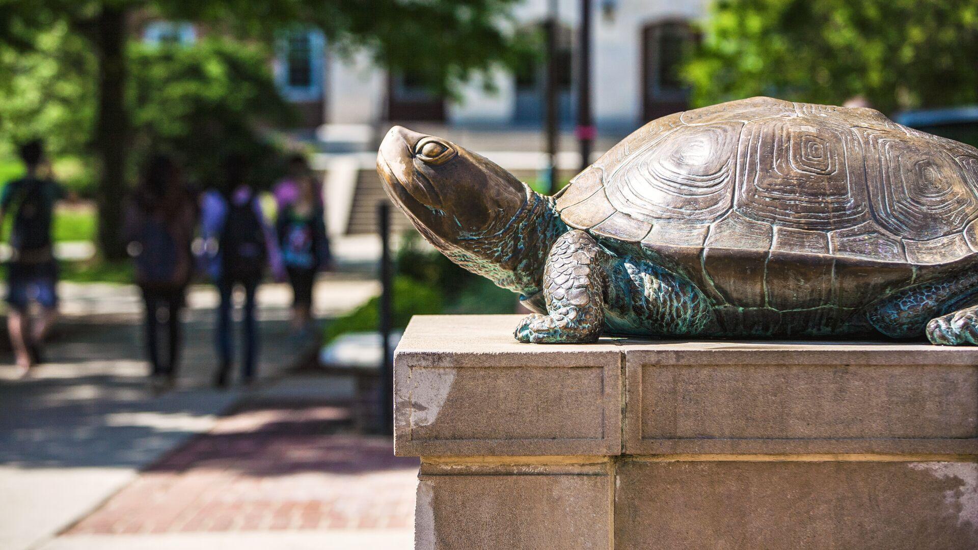 Testudo statue